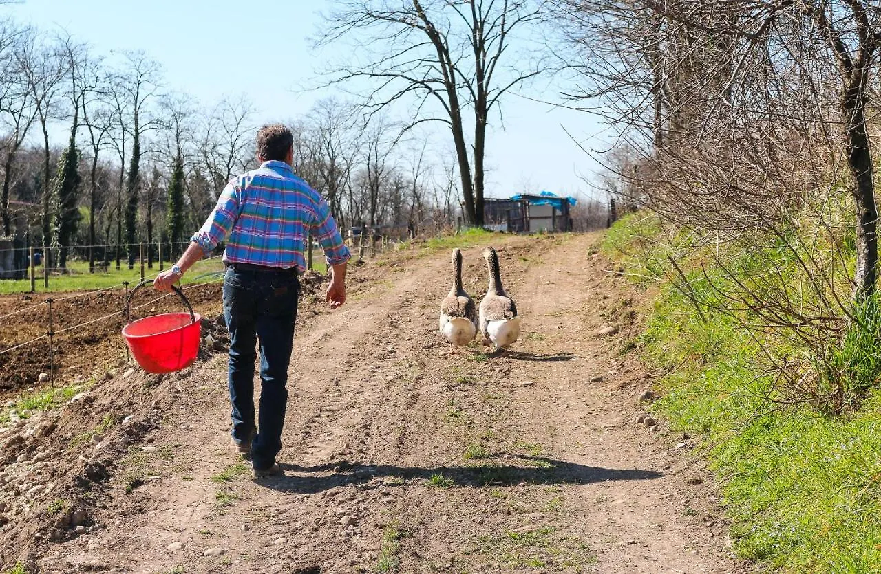 Agriturismo Cascina Le Volpi Solferino Campsite