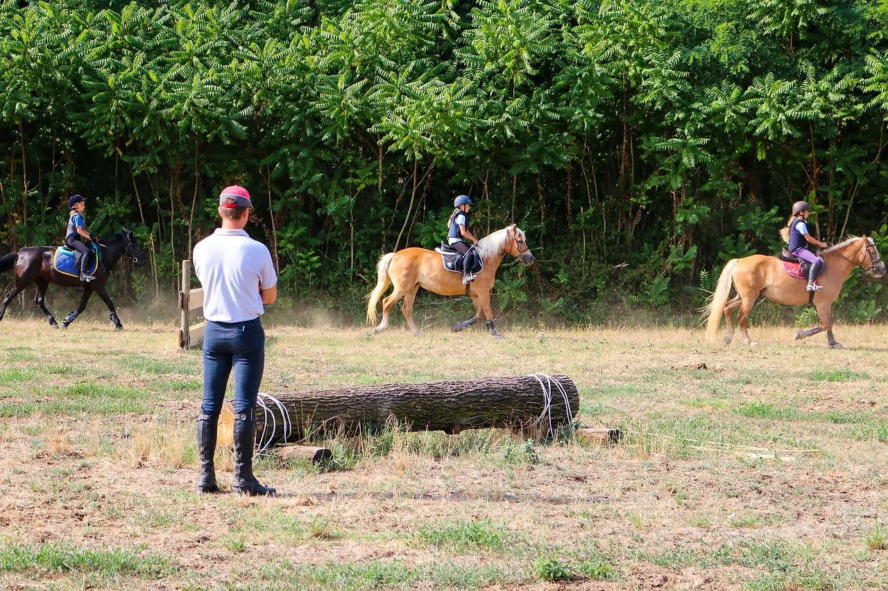 Agriturismo Cascina Le Volpi Solferino Campsite